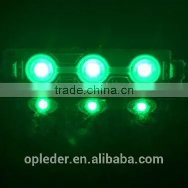 3 Yeas Warranty 12V 3 5050 Led Light for Outdoor