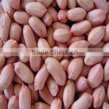 Peanut Kernels photo-2