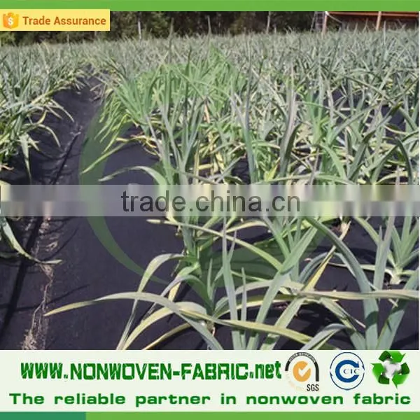 Landscape Item Non Woven PP Fabric photo-3