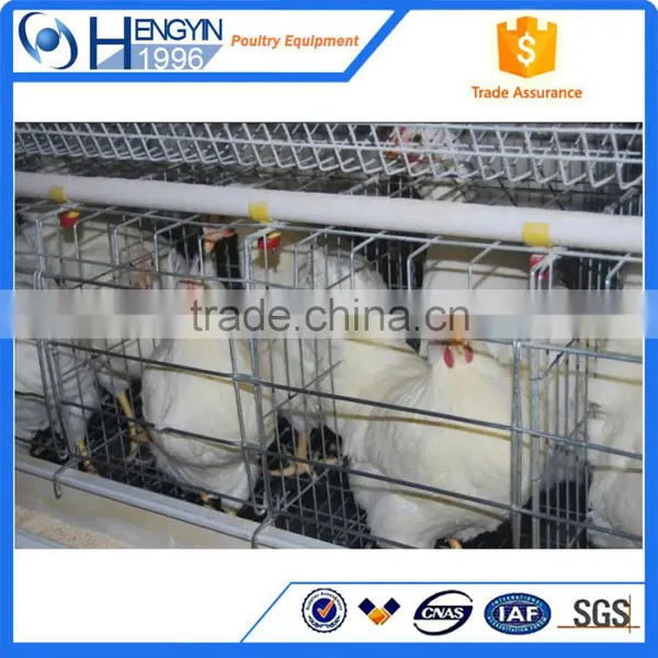 Popular Selling Layer Cage Chicken Cage Layer Cages for Sale