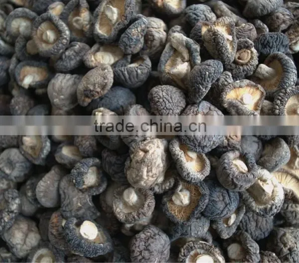 Bulk Dried Mushrooms photo-2