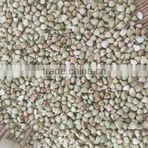 2016 New Crop High Quality Raw Buckwheat Price
