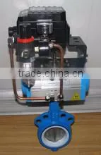 Butterfly Valve PN16 DN 1000 300 Class photo-4