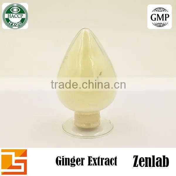 High Quality Gingerol Ginger Extract Ginger Root Powder photo-4