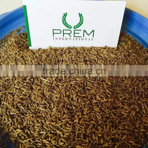Cumin Seeds & Powder photo-2