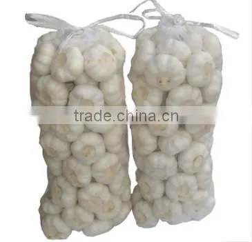 Chinese Fresh Garlic Price in 2016 photo-3