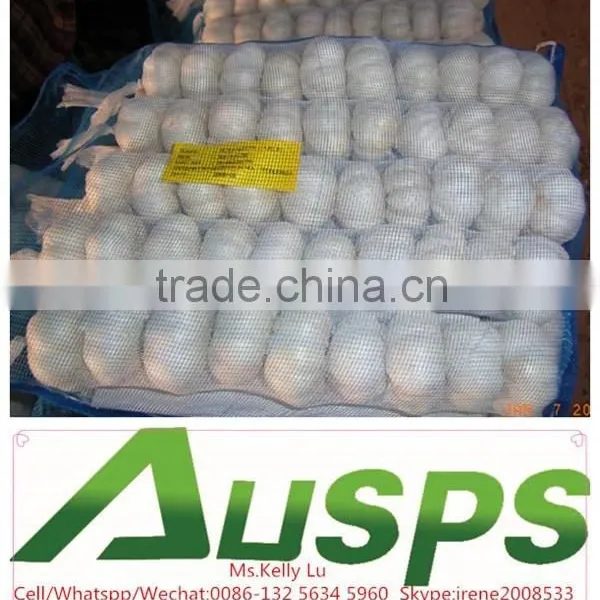 China Garlic Price per Ton photo-2