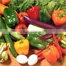 Fresh Cut Vegetables photo-2