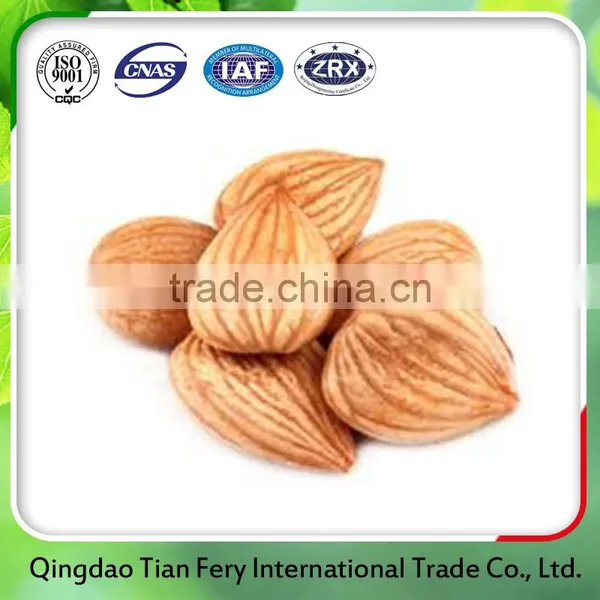 Apricot Kernels/ Bitter and Sweet Apricot Kernels photo-6
