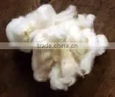 WOOL