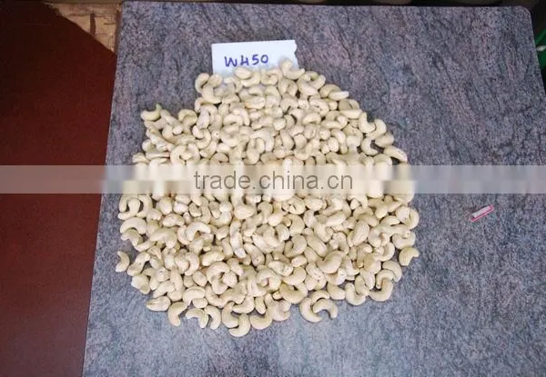 Cashew Nut Kernel photo-4