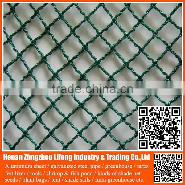 100% Virgin HDPE Anti Bird Netting / pe Protection Net / Plastic Net With uv photo-3