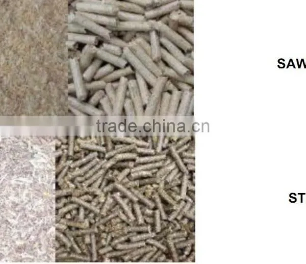 2016 Factory Price Model KL-120A Chicken Manure Pellet Machine for Sale in China photo-5