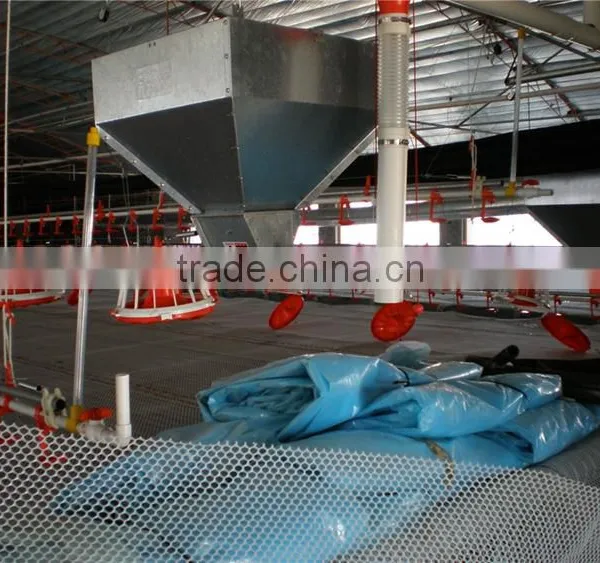 Poultry Automatic Feeding System photo-2