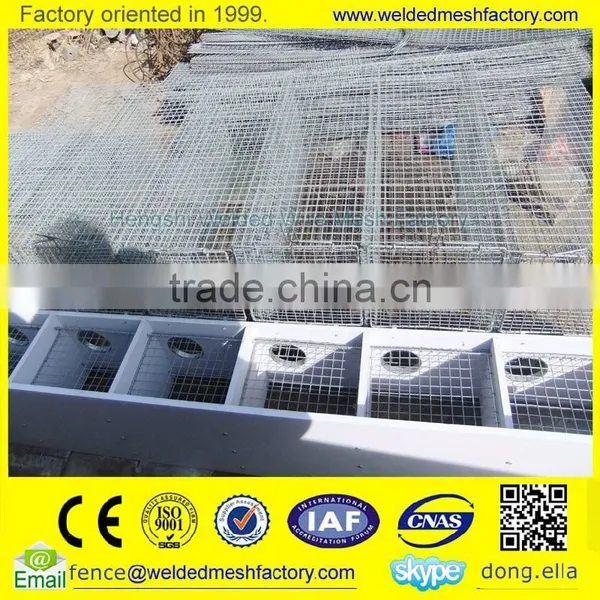 Galvanized Animal Trap Cages