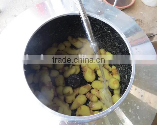 2015 Promotion Electric Potato Peeler photo-2