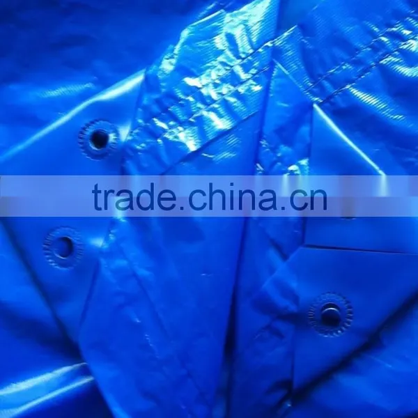 Reinforced Cross Laminated Tarpaulin With Eyelets, Green House Tarpaulin Sheet