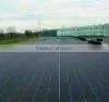 Plastic Weed Block Matting photo-5