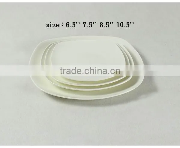 Haonai Hot Sale Product High Quality Square Shape Ceramic Plates Dishes photo-3