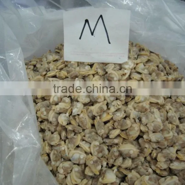 Fully Cooed Short Necked Clam Meat photo-3
