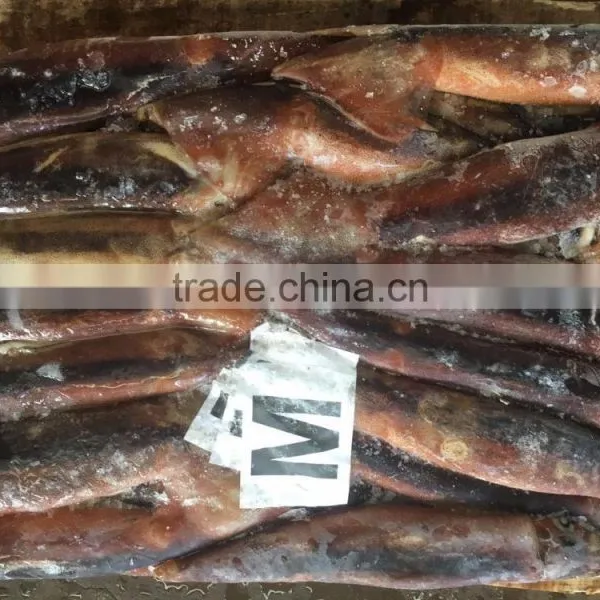 2017 New Arrive Frozen Argentina Illex Squid photo-3