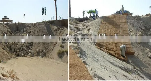 Palm Fiber Mat photo-2