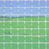 China (Mainland) Wire Netting