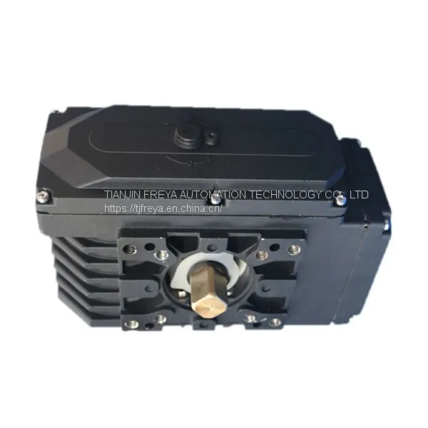 Electric Valve Small Electric Rotary Actuator Dle-60 Dle-160 photo-2