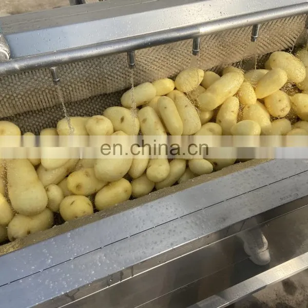 Potato Peeling and Washing Machine Potato Peeling and Slicing Machine photo-4