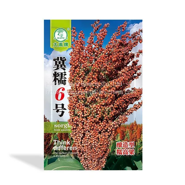Hybrid Brew Type Sorghum Ji Waxy No.6 High-yield Crop Sorghum Seeds Suppliers