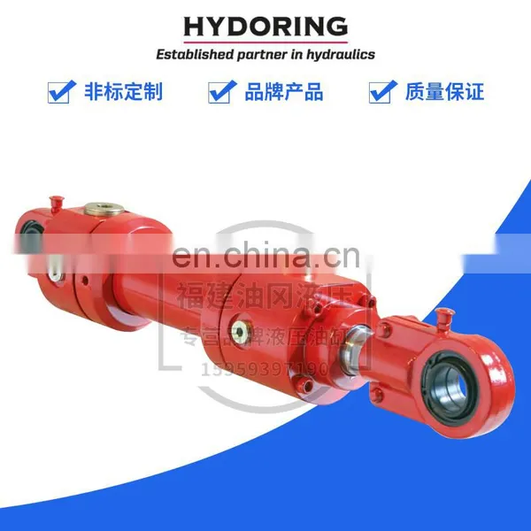 Germany HYDORING Cylinder HHD6510PK63/36-215-a+b-100 Servo Cylinder With Valve photo-3