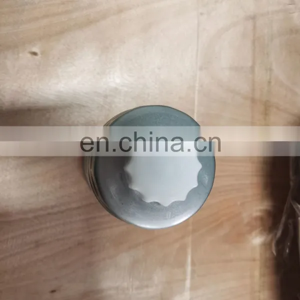 Original in Stock C00038469 Fuel Filter Saic T60 Maxus Ldv photo-5