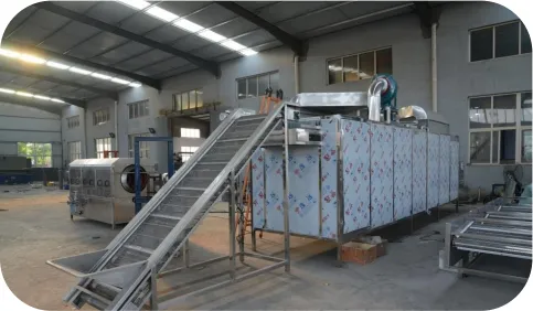 Tunnel Type Multi-layer Dryer