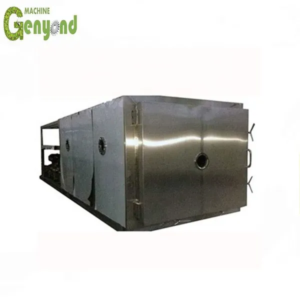 High Capacity Fruit Chips 100m2 Vegetable /flower Lyophilizer photo-5
