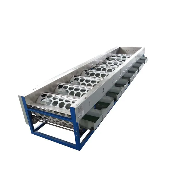 apple Sorting Machine / Appel Fruit Sorting Machine
