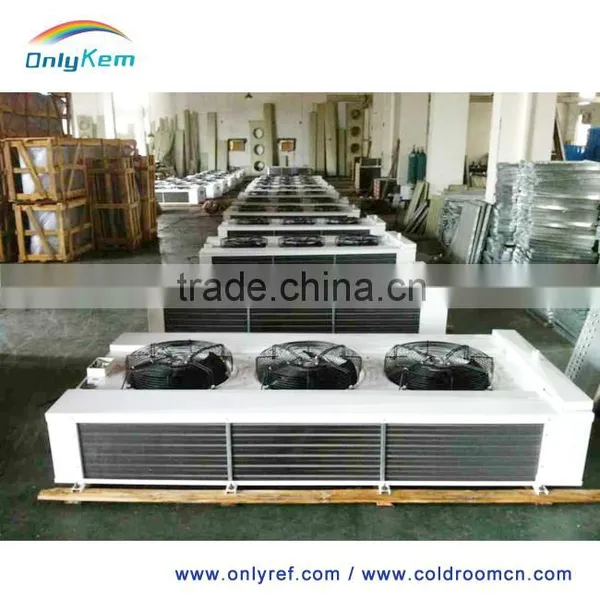Double Discharge Air Cooler for Food Process Workshop photo-2