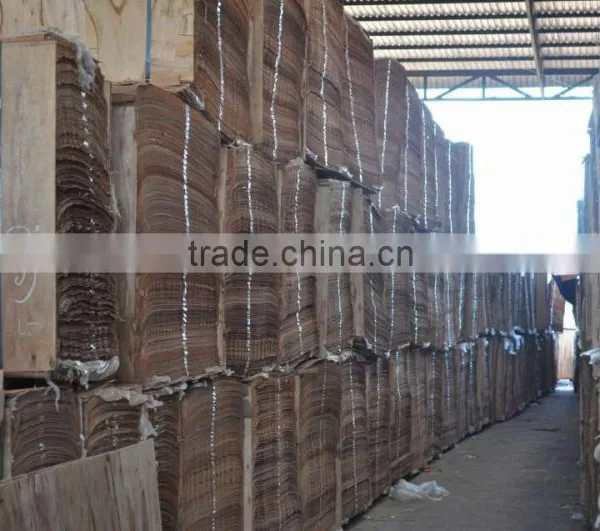 Keruing Face Veneer Rotary to India 100 % Grade C 3mm Thickness photo-3