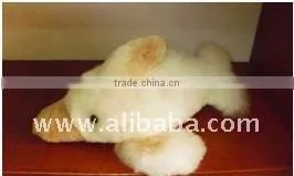 Baby Alpaca Stuffed Dolphin