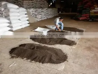 Black Pepper photo-2