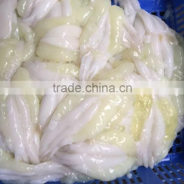 2016 New Arrived Grade A Frozen Illex Squid Roe 400g-600g for Your Market From China photo-3