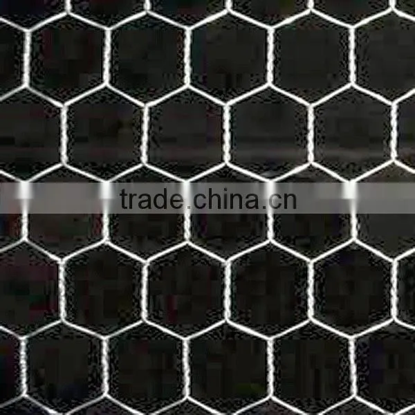Green/ Black Pvc Coated Lowest Price Chicken Wire Mesh photo-3