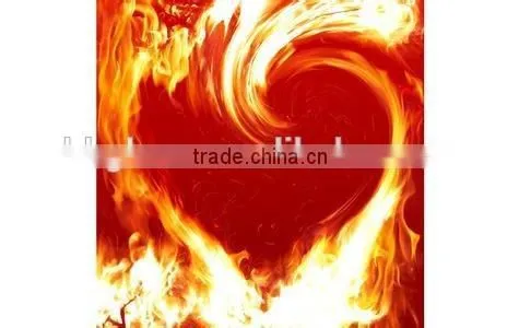 the Best Price for Fire Risistant Glass WITH GOOD QUALITY FROM CHINA MANUFACTURER photo-2