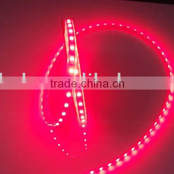 Flexible Led Strip Light