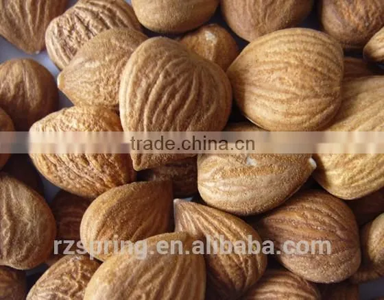 Bitter Apricot Kernels
