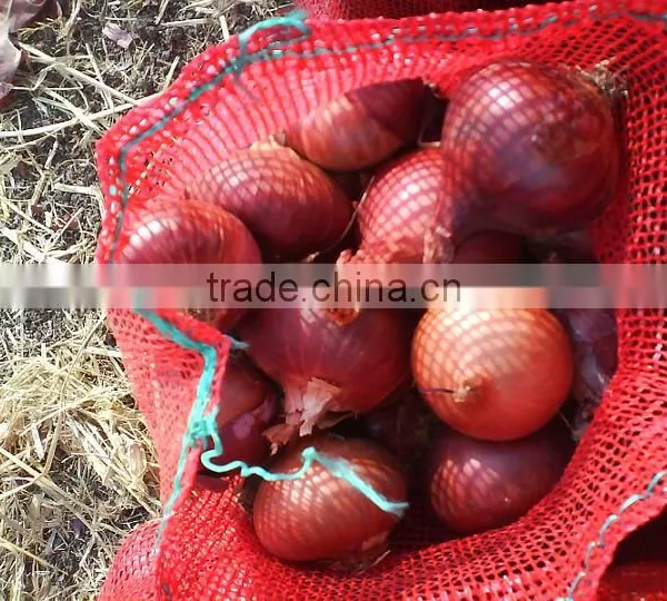 Onion photo-3