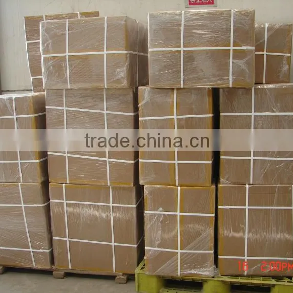 Collapsible and Re-useable Onion Shape Plastic Container for Fish Hatchery photo-6