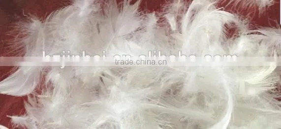 Washed Duck Feather 2-4white Duck Feather Filling Material IDFL Standard photo-2