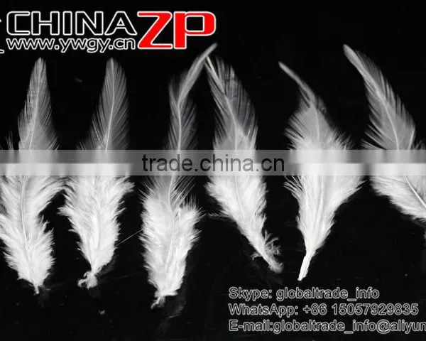 Leading Supplier CHINAZP Bulk Sale Good Quality Beautiful Bleached White Chicken Rooster Saddle Feathers photo-2