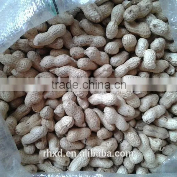 Chinese New Crop High Quality Raw Peanut Shell photo-2