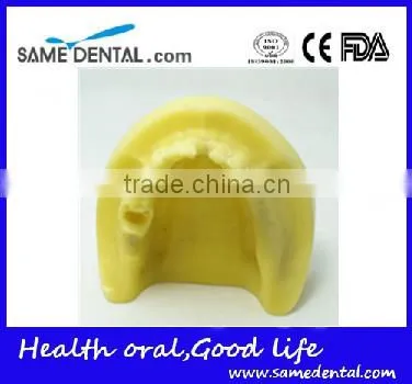 Mandibular Implant Dental Training Model (no Gum) Dental Eduction Assitant No. DEA-22 photo-3